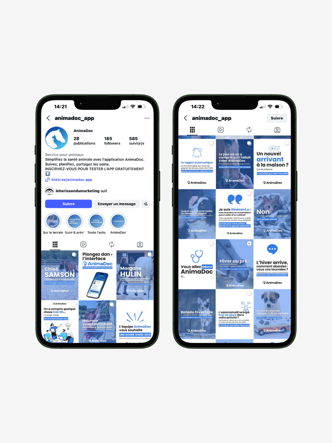 Feed instagram de l'application AnimaDoc