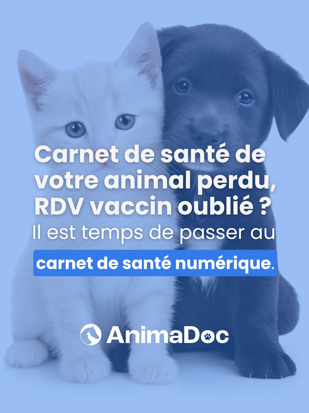 carnet de santé numérique animadoc